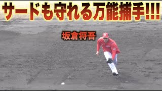 捕手専念でも色褪せぬ安定感！坂倉将吾が内野ノックで抜群の守備力を見せる！#カープ#広島#キャンプ