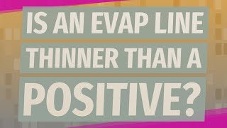 Is an EVAP line thinner than a positive?