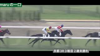 リガーレ 3戦目2歳未勝利　　　　芝 2000m京都競馬場3R 10:50