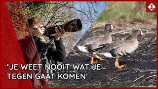 Vogelspotter Rik Wever (21) uit Onstwedde spot zeldzame dwerggans