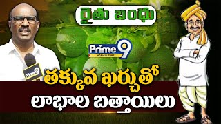 తక్కువ ఖర్చుతో లాభాల బత్తాయిలు | Profits At Low Cost On Oranges | Prime9 Agriculture