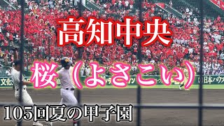 2023夏の甲子園『高知中央』桜（よさこい）