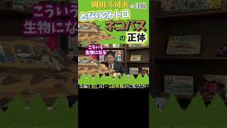 となりのトトロ【ネコバス】の正体とは？江戸時代のネコバスの姿が実はこれ！『宮崎駿』インタビュー-続きの動画のURLは説明欄よりご覧ください【岡田斗司夫-切り抜き-岡田斗司夫の目線】  #Shorts