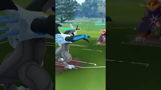 포켓몬고에 블랙큐레무가 나왔다고?! 진짜로?? (편집 X) Black Kyurem in pokemon Go!