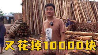 徐三娃到市场买檩子，2位师傅亲自把关，又花掉10000块【我是徐三娃】