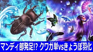 【#蟲神器】マンディ部発足!? クワガ単vsきょうぼ羽化【#蟲和陣伝 652】