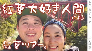 【今年の紅葉やいかに！？】紅葉大好き夫婦が行く、黒部峡谷トロッコ鉄道(#20)