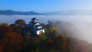 天空の城　越前大野城の紅葉　4K空撮