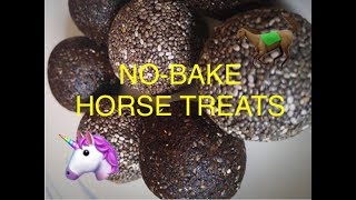 Vetionx No-Bake Equi-Chia Horse Treats | PUT TO THE TEST