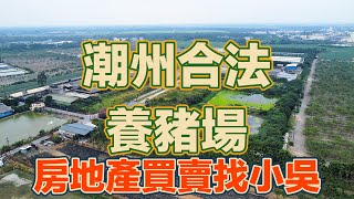 屏東｜潮州｜屏東買賣房地｜房地產買賣找小吳-吳乾毓｜潮州合法養豬場｜售價1億3800萬