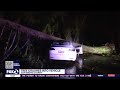 tree crashes into tesla in san mateo county