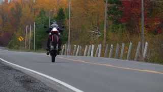 vf500 wheelie