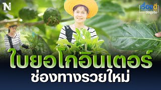 ใบยอโกอินเตอร์ ช่องทางรวยใหม่ | เรื่องดีมีอยู่จริง