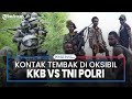 Rekaman Kontak Tembak KKB Vs Pasukan Gabungan di Oksibil