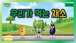 채소 | 우리가 먹는 채소 | 뿌리 채소 | 줄기 채소 | 잎 채소 | 킨더리베 아이콩 이야기