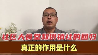 曾经的社区大食堂和供销社，回归到我们的生活，真正的作用是什么