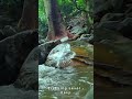 ധോണിയുടെ പേരിലുള്ള വെള്ളച്ചാട്ടം 💥 dhoni waterfalls palakkad getafoot tigerreserve travel