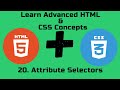 Attribute Selectors  Learn Advanced HTML and CSS Concepts  Full Video in English