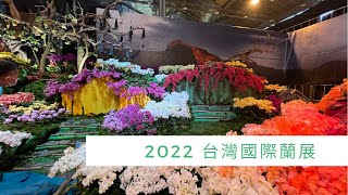 2022 台灣國際蘭展 萬朵的蘭花所組成的世界