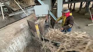 Separating sand from sugarcane