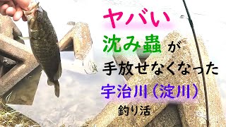 宇治川（淀川）沈み蟲に頼りっぱなしのバス釣り活　　　　　　　　　　　　　　　　　　#宇治川バス釣り #淀川バス釣り #沈み蟲