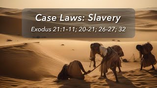 Case Laws: Slavery, Part 2