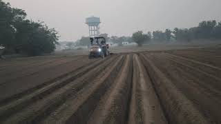 Kufri Sangam ...ke.planting..kavya agro Potato Seed ..9309302003