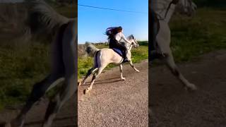 Watch ones you will love it 🐎♥️ #reels #arabichorse #horse #riding #girl #arabic