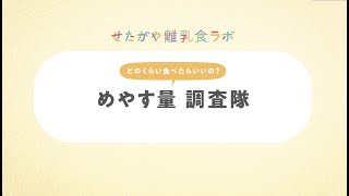 せたがや離乳食ラボ　「めやす量　調査隊」