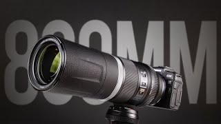 Canon RF 800mm f/11, Renting this BEAST!