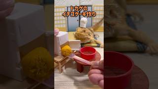 トカゲに邪魔されクッキング　〜イチゴケーキ編〜