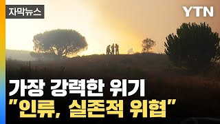 [자막뉴스] "처참한 현장 직접 목격" 인류의 가장 강력한 위기 / YTN
