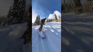 Cruising Through Powder #snowboard #snowboarding #shorts