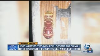 FWC arrests two men for Lobster poaching