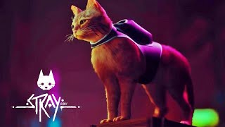 STRAY | Почти Киберкот 2077 | НЕОЖИДАННО ФИНАЛ