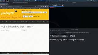OS Command Injection-Blind PHP Code Injection SQL Injection (AJAX/JSON/JQUERY) SQL Stored(SQLite)