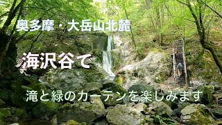 【フォトハイキング】奥多摩・海沢探勝路