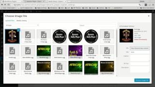 Install Dynamic Audio Player Wordpress plugin