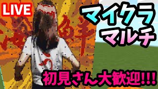 だれでも参加OK、まったり適当にマイクラしよう《Minecraft》【LIVE】