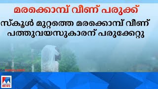 മരക്കൊമ്പ് വീണ് പത്തുവയസുകാരന് പരുക്ക് ;സ്കൂള്‍ മുറ്റത്തെ മരക്കൊമ്പാണ് വീണത്|Kochi| Rain