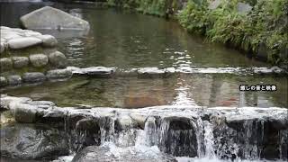 轟水源(熊本県) - Japan  Kumamoto Todoroki Water Source 【癒し音楽 自然の音】【ASMR】