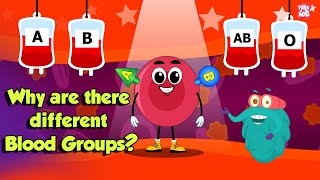 Types Of BLOOD GROUPS | Why Are There Different Blood Groups? | Dr Binocs Show | Peekaboo Kidz