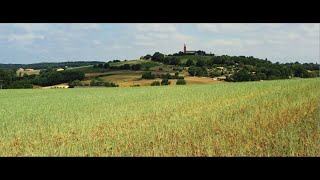 Straw Bale Distillery - préparons une nouvelle histoire