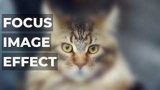 Effect focus image in HTML CSS Javascript