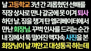 감동사연 고등학교 선배를 직장 상사로 만나 시달리다 퇴사하던 날  엘리베이터에서 만난 회장님께 인사하다 떨어트린 액자 속 사진에 회장님이 오열하는데  신청사연 썰읽는 사연라디오