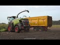 mais silage 2024 claas jaguar 940 fendt e.j.g. gerritsen