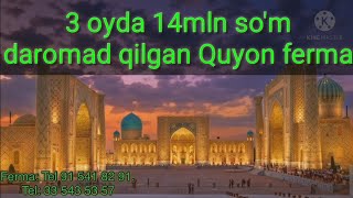 3 oyda 14mln so'm daromad qilgan Quyon ferma. 3 ойда 14млн сум даромад килган Куён ферма.