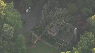 Storms knock out power, down trees in power lines across Durham, Orange County