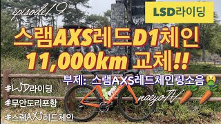 드디어 교체시기가 도래한 #스램AXS레드체인 교체 정비/스램 체인링소음/도리포LSD라이딩 코스 완성/라이딩로그