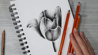 HOW I USE CHARCOAL PENCILS FOR BEGINNERS + Flower Demo